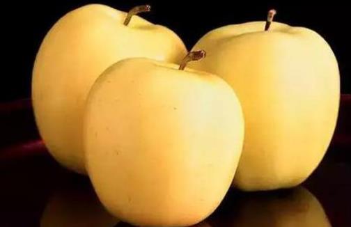 黄香蕉苹果什么时候成熟 黄元帅苹果成熟季节